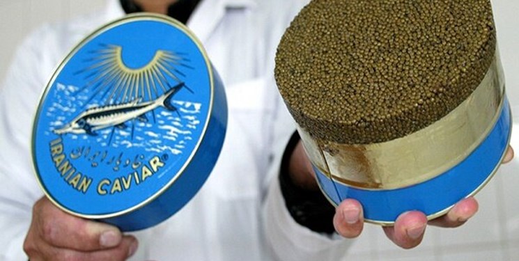 صادرات 26 میلیارد دلاری ایران از صادرات گوشت ماهی خاویار