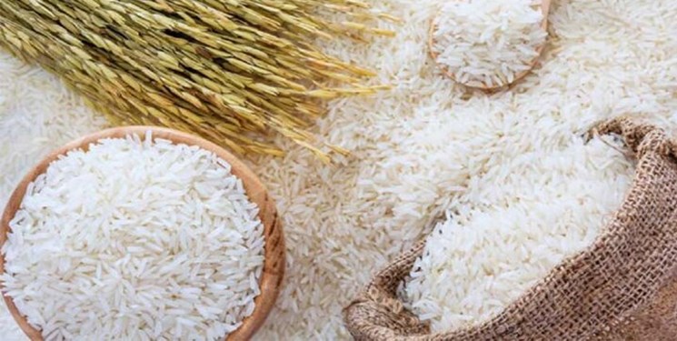 روزهای پایانی برداشت رتون و کشت مجدد در مازندران