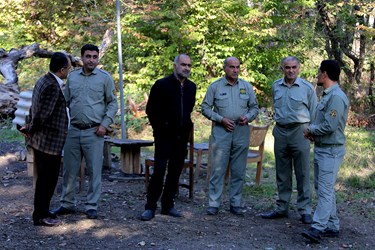 زنده گیری 6 راس گوزن زرد ایرانی