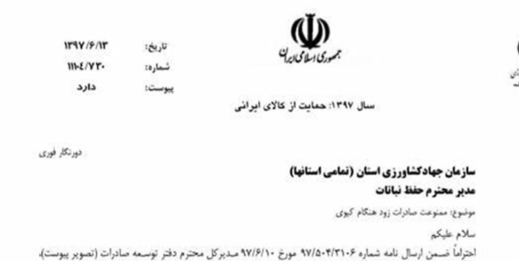کیوی خارجی بلای جان باغداران ایرانی  +فیلم