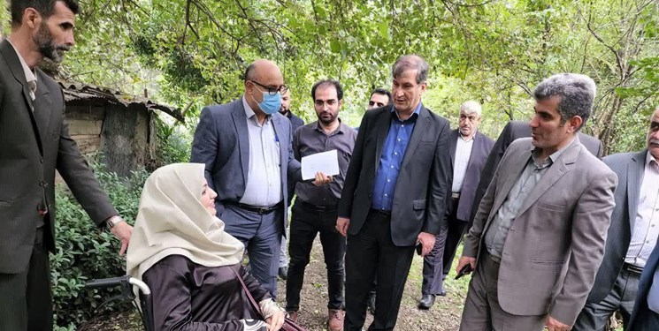 معاون وزیر: کیوی گیلان برای نخستین‌بار به برزیل صادر می‌شود