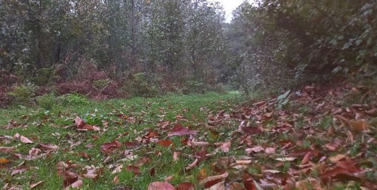کاهش تدریجی ابرناکی آسمان مازندران