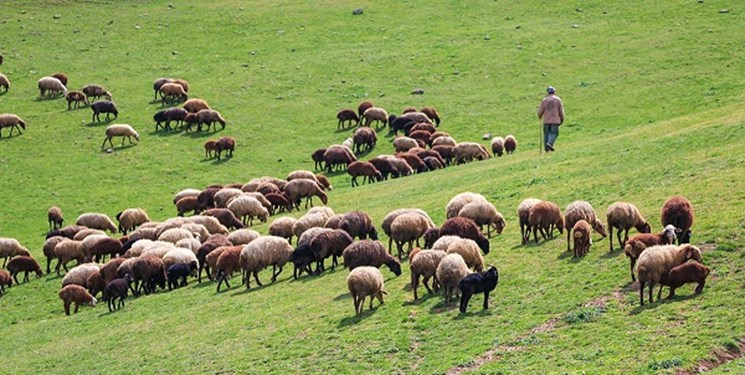 مسؤولان برای حل مشکلات 250 هزار شغل چاره‌اندیشی کنند