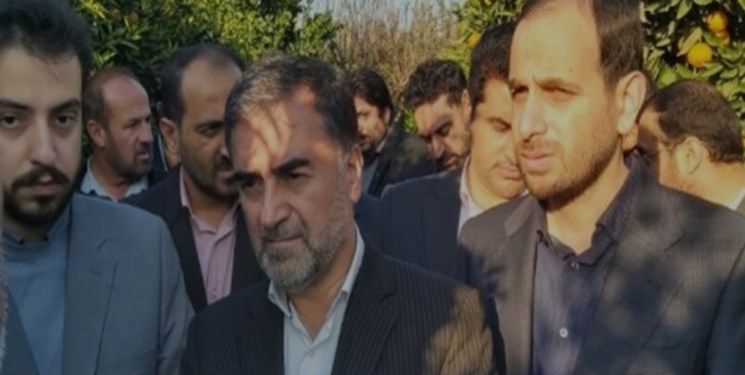 عرضه مستقیم مرکبات مازندران در بازار پایتخت/کوتاهی دست دلالان از بازار مرکبات