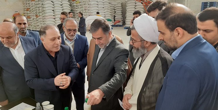 خبر خوب| از صادرات برنج محلی مازندران تا خرید 50 هزار تن برنج به دستور رئیس جمهور