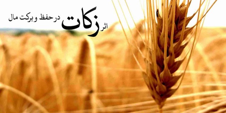 آئین نامه اجرایی زکات تصویب شد