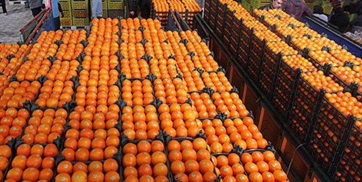 دولت به کمک باغداران بیاید/ مطالبات تنظیم بازار شب عید گذشته هنوز پرداخت نشده است