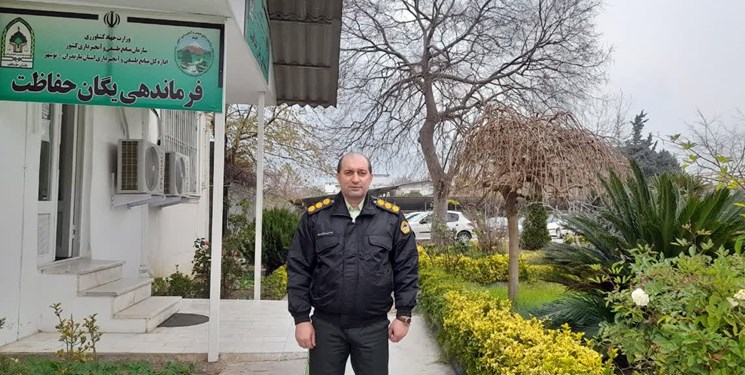 خطای انسانی؛ دلیل بروز حریق در جنگل‌های غرب مازندران