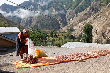 بانوان روستایی در «مازندران»