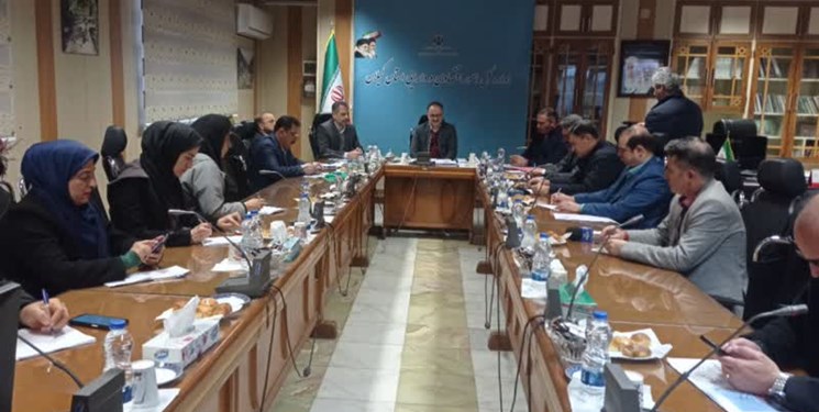 طرح مولدسازی در راستای مردمی‌سازی اقتصاد است/ معرفی 140 پزشک متخلف مالیاتی به دستگاه قضایی