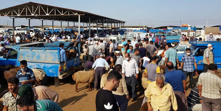 عملیات اجرایی بزرگترین میدان دام شمال شرق کشور با اعتبار 684 میلیارد تومان در دهه فجر آغاز می شود