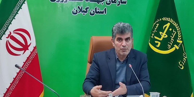 ایجاد اشتغال 89 نفری با افتتاح 29 طرح کشاورزی در گیلان