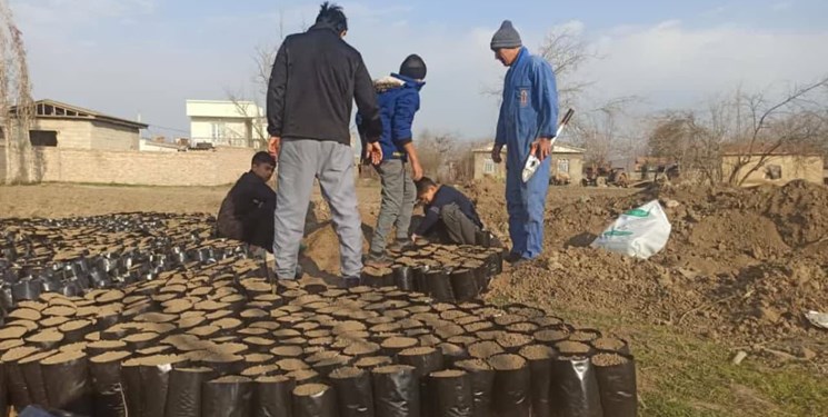 7 استر چوب قاچاق جنگلی در گنبدکاووس کشف و ضبط شد