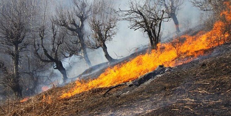 وقوع حریق در جنگل‌های «لالا» ساری/ تلاش برای مهار حریق ادامه دارد
