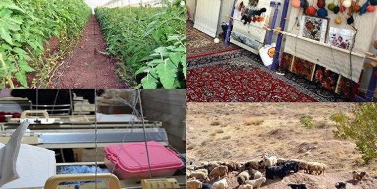 پرداخت 110 میلیارد تومان تسهیلات به طرح‌های اشتغال‌زایی گیلان/ دوهزار و 800 نفر صاحب شغل شدند
