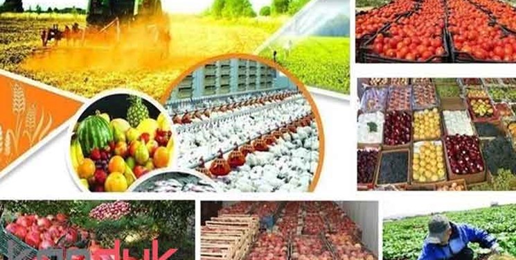 افتتاح 10 طرح در حوزه صنایع تبدیلی و غذایی در گیلان