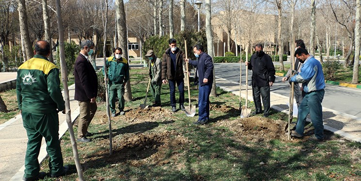 درخواست منابع طبیعی مازندران؛ برای کاشت یک میلیارد درخت نیازمند مشارکت مردمی هستیم