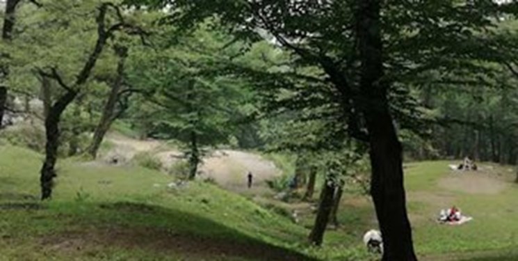 تشکیل قرارگاه پاک‌سازی جاده‌ها در مازندران/ نهضت پاک‌سازی طبیعت ادامه دارد
