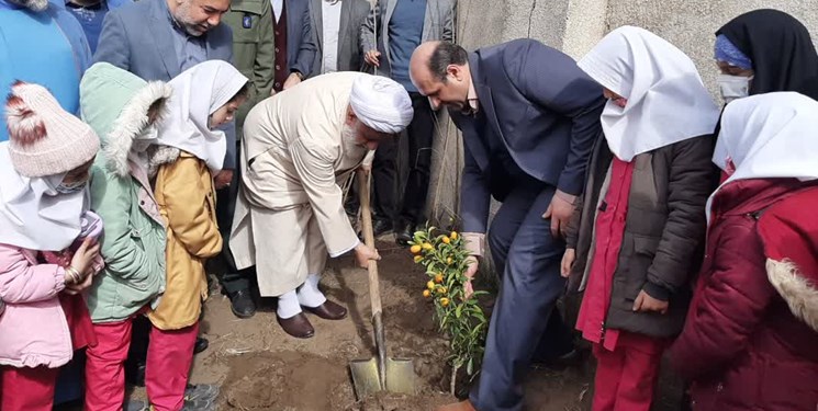 رتبه نخست رودسر در گیلان با کاشت 300 هکتاری جنگل