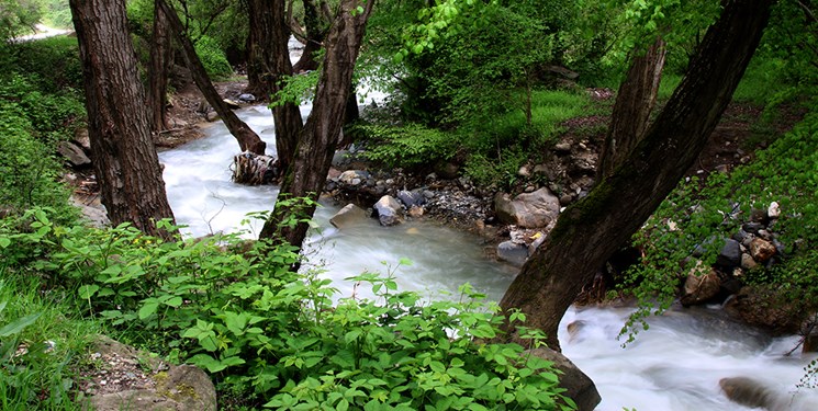 طبیعت مازندران از زباله پاک می‌شود