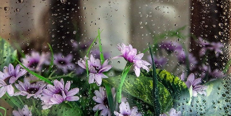 آسمان مازندان امروز هم بارانی است