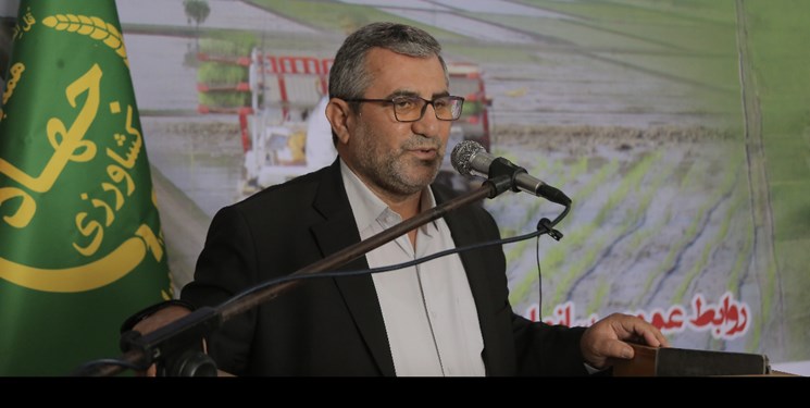 دپوی برنج در انبارها/  300 هزار هکتار  اراضی کشاورزی مازندران به برنج اختصاص دارد
