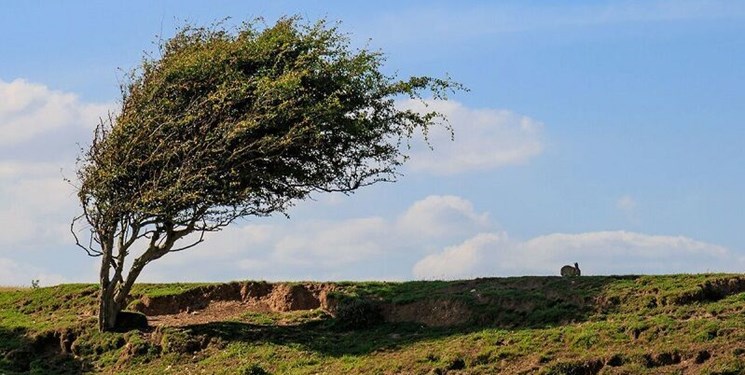 افزایش محسوس دما و تنش گرمایی تا فردا در آسمان مازندران