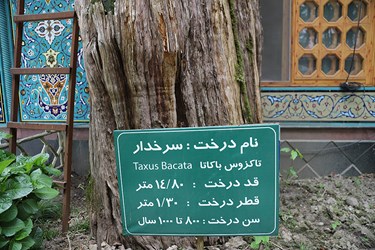 1000 سال همنشینی