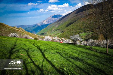 طبیعت بهاری «کوهستان چالوس»