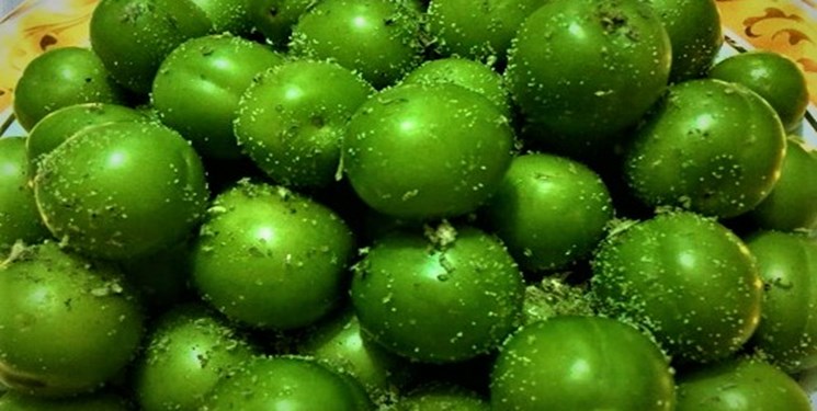 پیش‌بینی برداشت 16 هزار تن آلوچه در گیلان