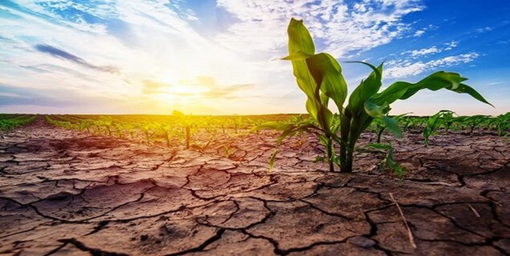خشکسالی 1402، چالش بزرگ استان گلستان/ اجرای آبیاری نوین در اولویت است
