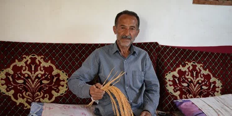 صبر هفت‌ساله برای برنج شدن علی‌کاظمی/ زمین زیارتگاه من است