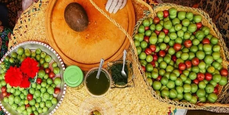 درآمد برداشت آلوچه برای کشاورزان صومعه‌سرا چقدر شد؟