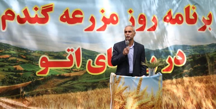 اجرای طرح جهش تولید در 15  استان کشور/  30 هزار هکتار از مناطق دیمزار  مازندران در طرح قرار گرفت