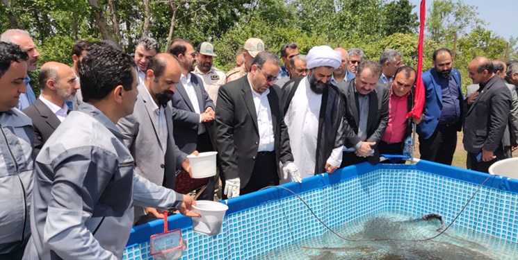 افزایش 30 درصدی رهاسازی بچه ماهیان استخوانی و غضروفی در کشور