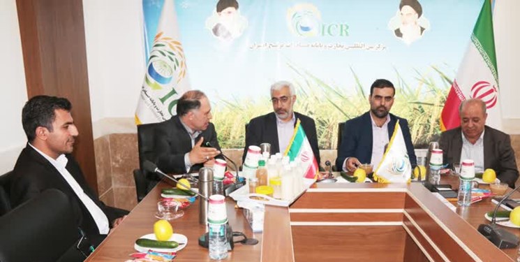 مدیرعامل مرکز توسعه تجارت برنج مازندران: تلاش برای بورسی شدن برنج در جریان است