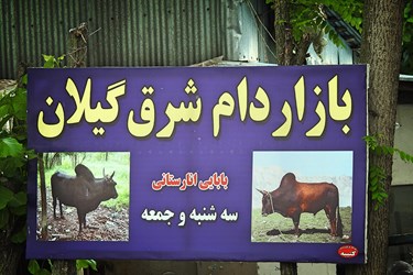 «بازار مال فروشان» گیلان