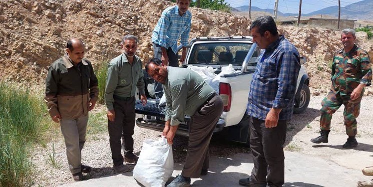 140 کیلوگرم قارچ ترافل در آزادشهر کشف و ضبط شد