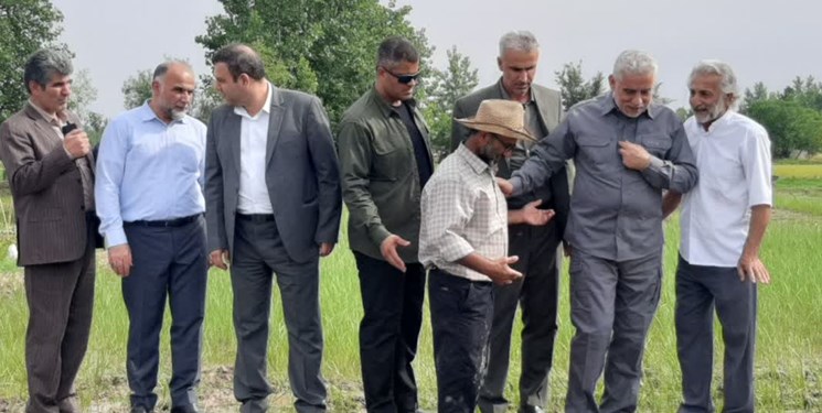 خاطرجمعی استاندار گیلان به کشاورزان برای توزیع عادلانه آب