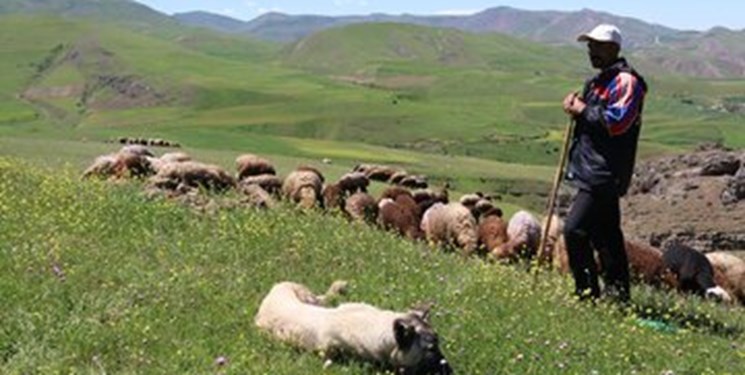 آغاز کوچ بهاره عشایر گیلان