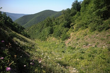 طبیعت کوهستانی غرب مازندران