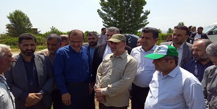 2 هزار هکتار از شالیزارهای میاندورود زیر کشت برنج نرفت