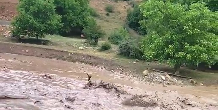 انسداد راه‌های روستایی آمل و شهرستان نور براثر سیلاب
