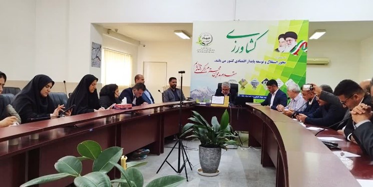 کشاورزی مازندران برای برندسازی نیاز به صنایع تبدیلی دارد