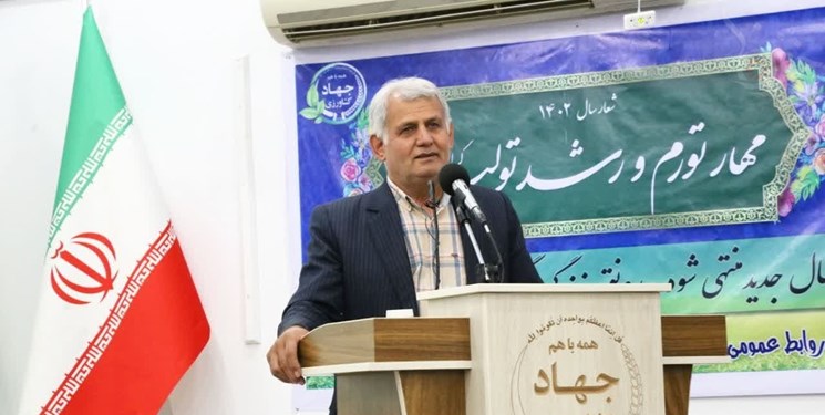 صنعت طیور و دام کشور نیاز به اصلاح ساختار دارد