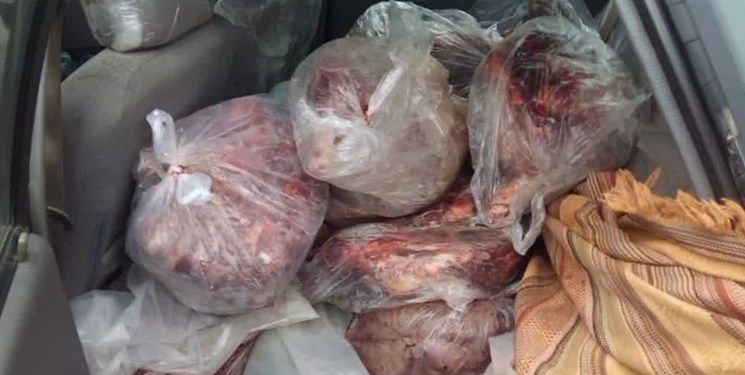 کشف و ضبط 200 کیلوگرم گوشت خوک در میاندورود