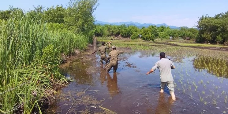 رفع تصرف 4000 مترمربعی در آستارا