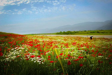 آخرین روزهای بهاریِ «دِیلمان»
