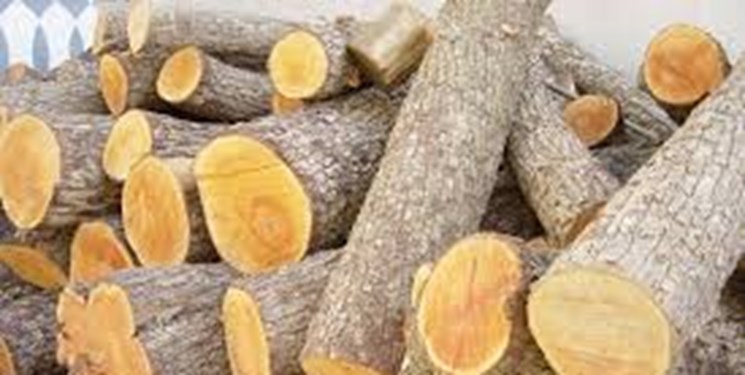 کشف 217 تن چوب جنگلی قاچاق در عباس‌آباد