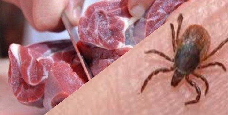 مراقب ویروس تب کریمه کنگو باشیم